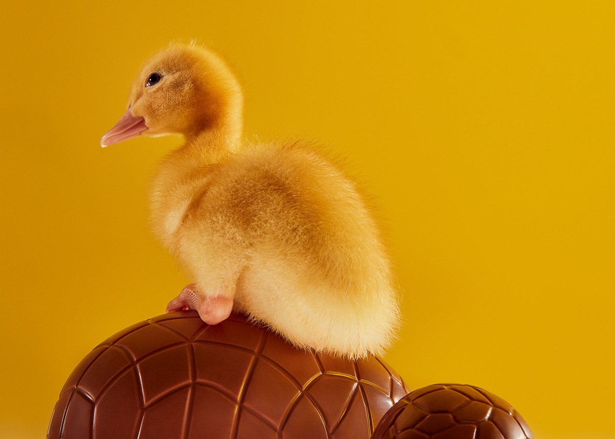 Overview 