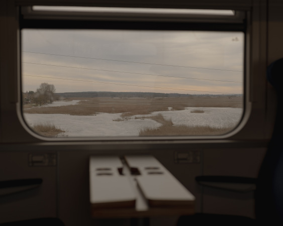 wilderness 