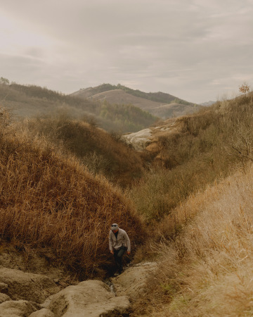 wilderness 