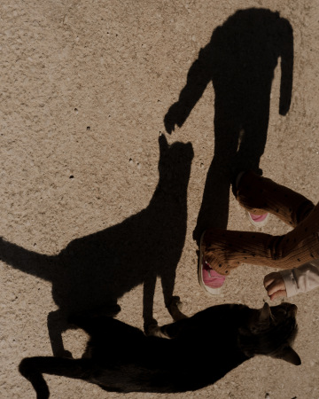 creatures 
